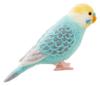 Hamanaka Wool Felt Cute Little Pastel Made with Aclaine Kit, Bird, Budgie, Colors, H441-525, Blue,