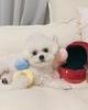 Creative Ring Box Plush Toy Love Diamond Ring Case Soft Chew Toy for Puppies Kids Cute Dog Bitter Interested Toys