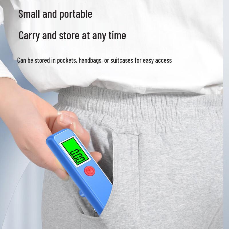 Portable Digital Hanging Scale