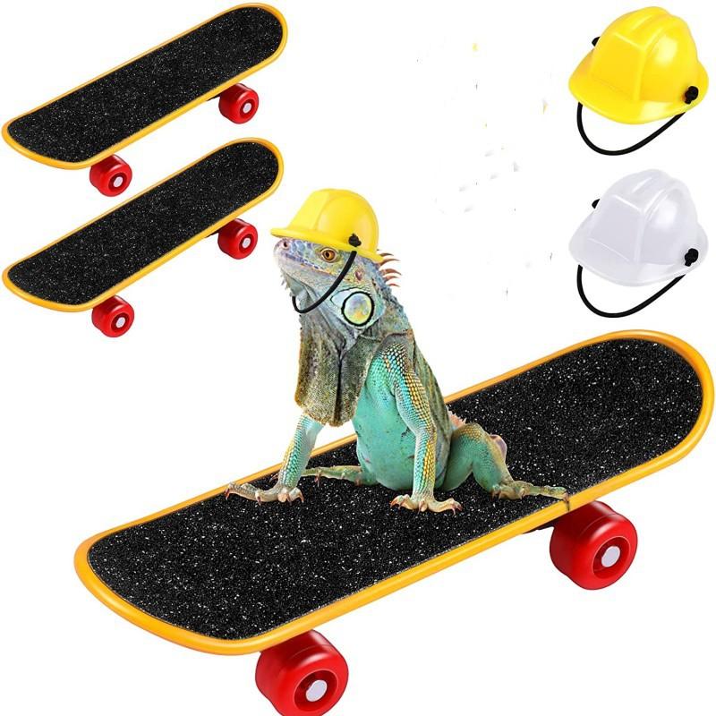Helma pro mazlíčka Skateboard 3dílná sada Nastavitelná bezpečnostní helma Klobouk pro technické použití pro křečka Papouška Odolné hračky pro mazlíčky