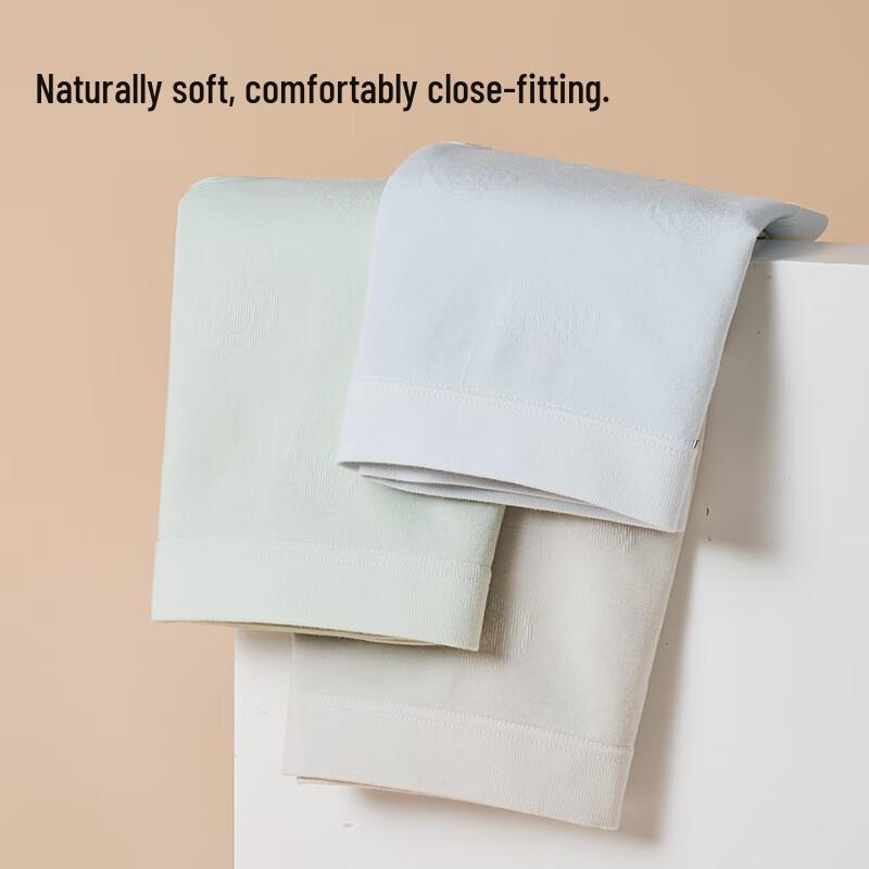 MIIOW Women's Camellia Clean Modal Antibacterial Briefs (3-Pack)