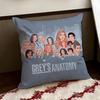 GGreys Anatomy Cushion Cover Reversible Soft Durable Pillow Cover Home  Car MultiScene Use for Daily Comfort