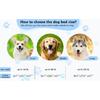 Elevated Cooling Dog Bed, Breathable Anti-slip Pet Cot for Medium Dogs