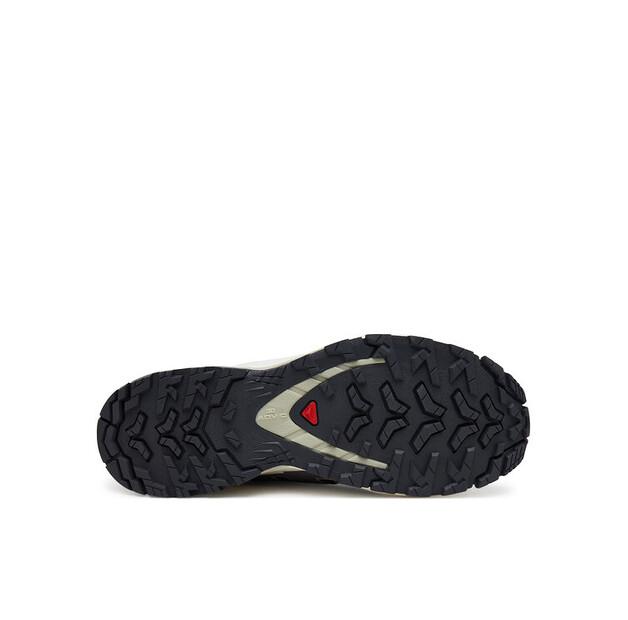 Треккинговые ботинки Salomon Xa Pro 3D V9 Gore-Tex