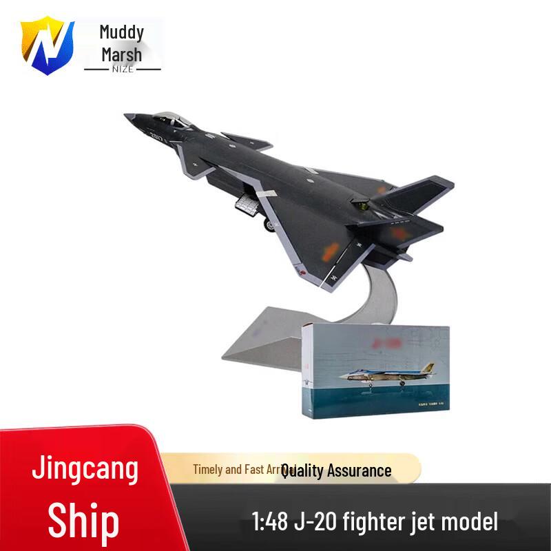 J-20 Stealth Fighter Jet Model