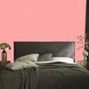 Coral Lattice Wallpaper, Coral Center for Living Room and Bedroom 50x1000