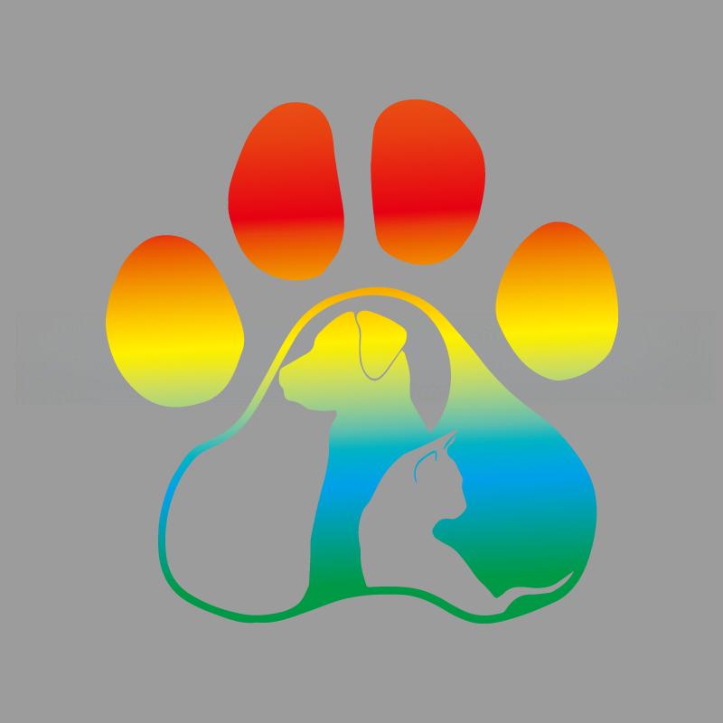 

Paws Дневник кошки и собаки креативные и забавные наклейки для поклонников и любителей мультфильмов, высокое качество для автомобилей, грузовиков, мотоциклов и ноутбуков S