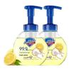 Safeguard Antibacterial Foaming Hand Wash - Lemon