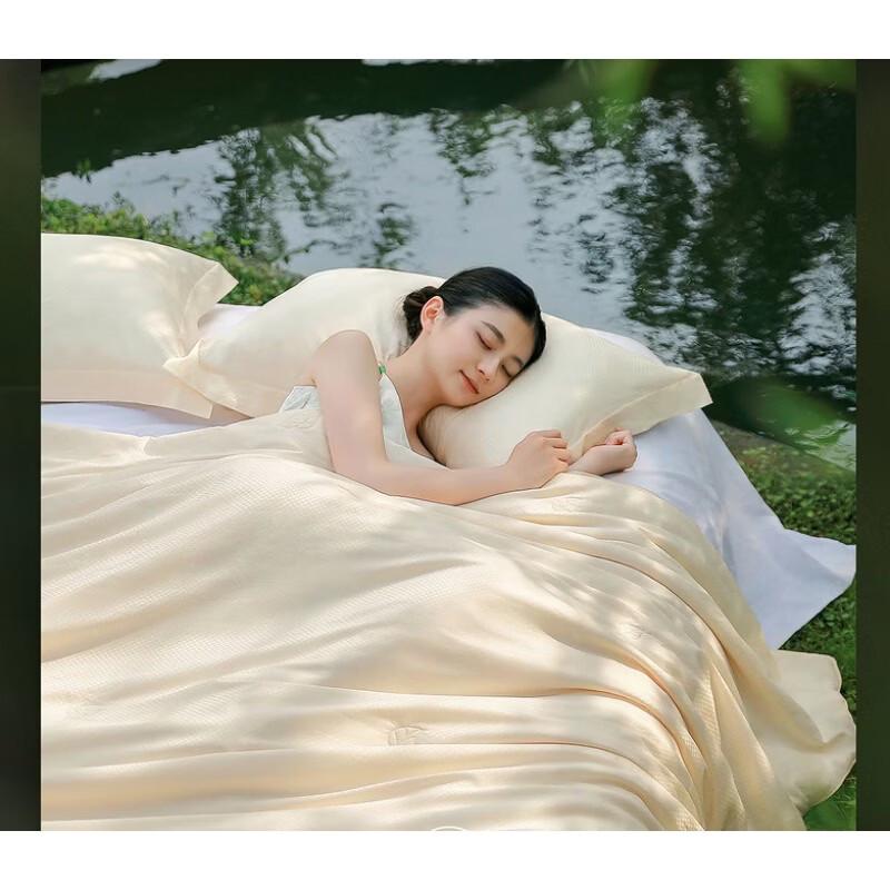 Mercury Home Textiles Qingsang Tussah Silk 2-in-1 Duvet