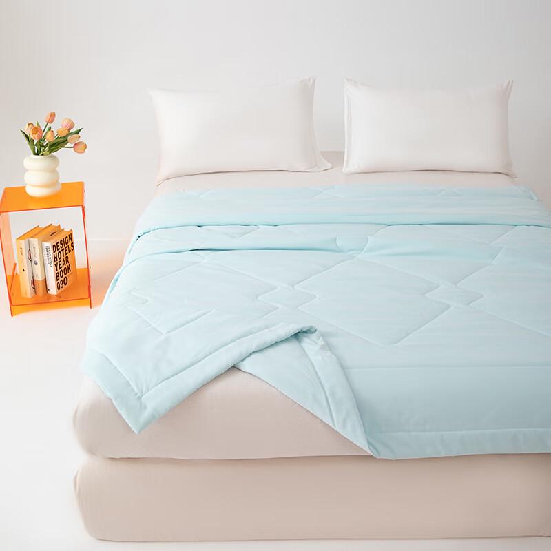 

Washable Cooling Cloud Velvet Quilt