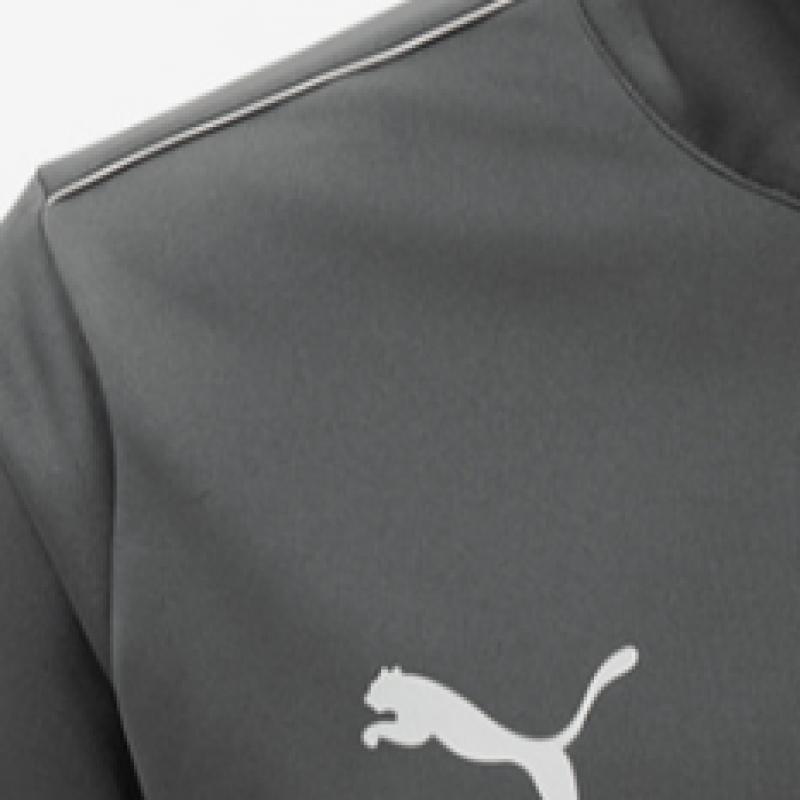 Puma Galleria Puma Asia Sp Team Tracksuit Full Zip Up Jacket Long Pants Set