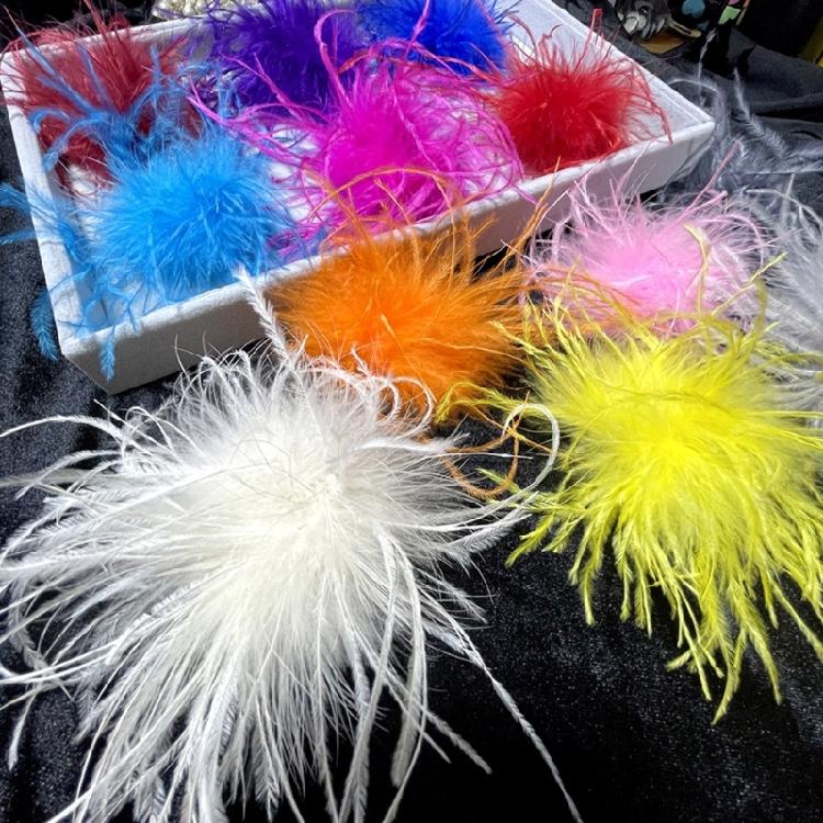 Spilla Spilla Struzzo per Abiti da Festa Decorazioni Corsage Piuma Spilla Piuma Donna
