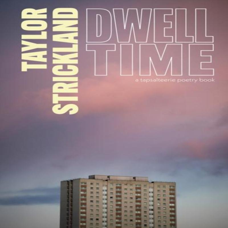 Dwell Time by Taylor Strickland Paperback Book 9781738439676