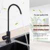 Lead-Free 304 Stainless Steel Direct-Drinking Kitchen Sink Water Purifier Faucet