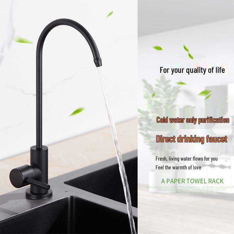 Lead-Free 304 Stainless Steel Direct-Drinking Kitchen Sink Water Purifier Faucet