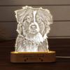ersonalized Pet Photo Night Light Custom Acrylic Lamp Record Beautiful Growth Moments Of Pet Companion Warm Home Decoration