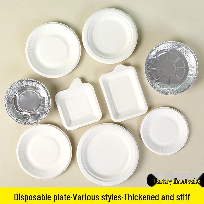 ZISIZ Disposable Rectangular Paper Plates