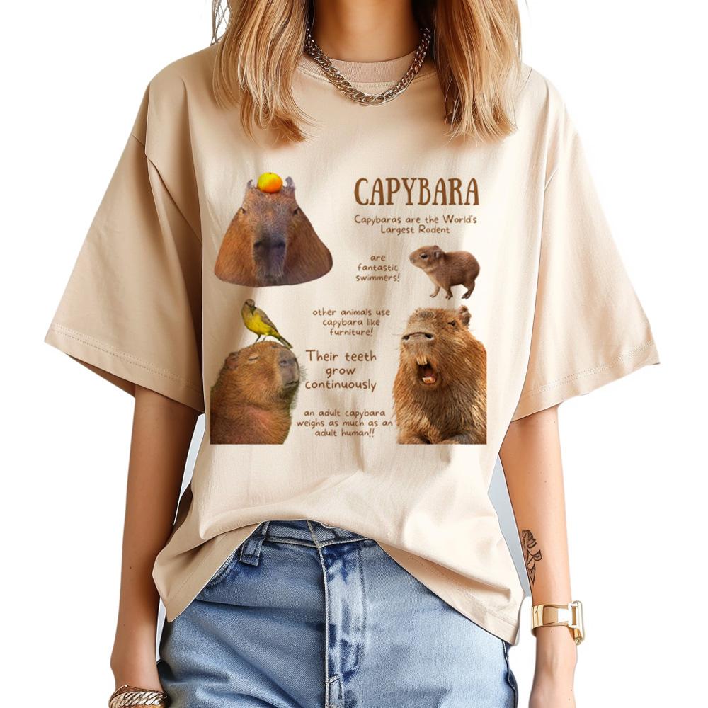 Capybara t shirt Women graphic comic Tee female streetwear clothing