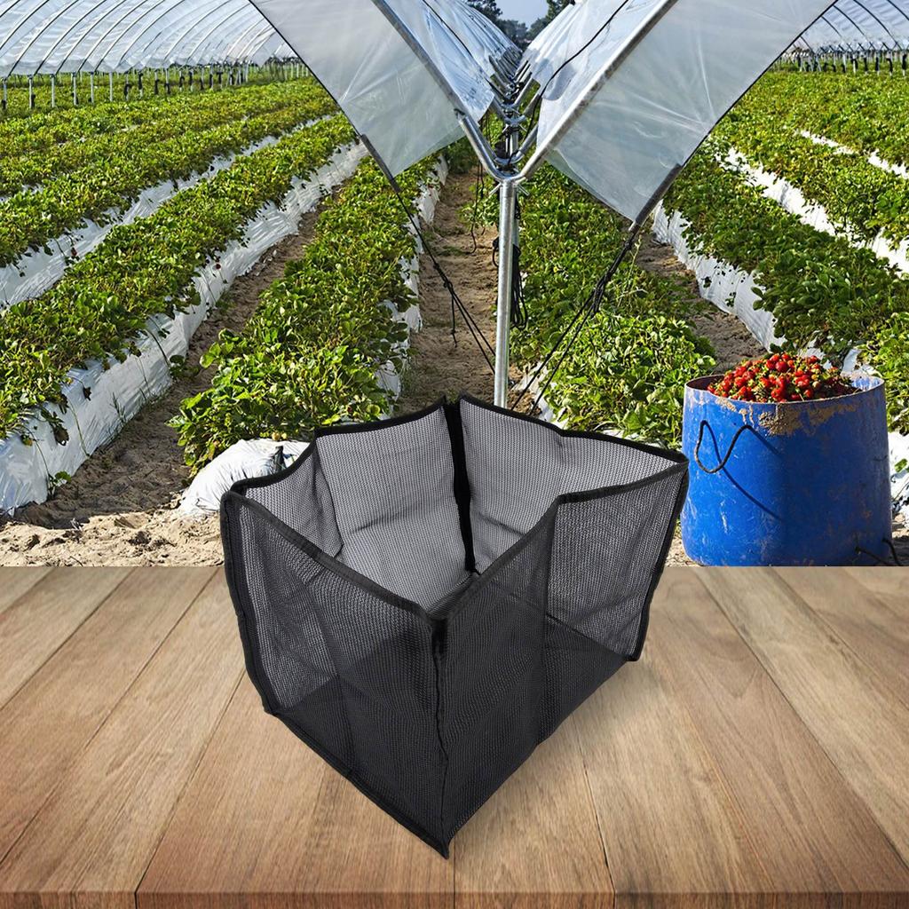 Compact Mushroom Cultivation System Mushroom Cultivation 40 * 30 * 40cm Mushroom Planting Box Versatile Usage Design