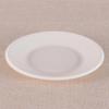 Disposable Bagasse Paper Plates