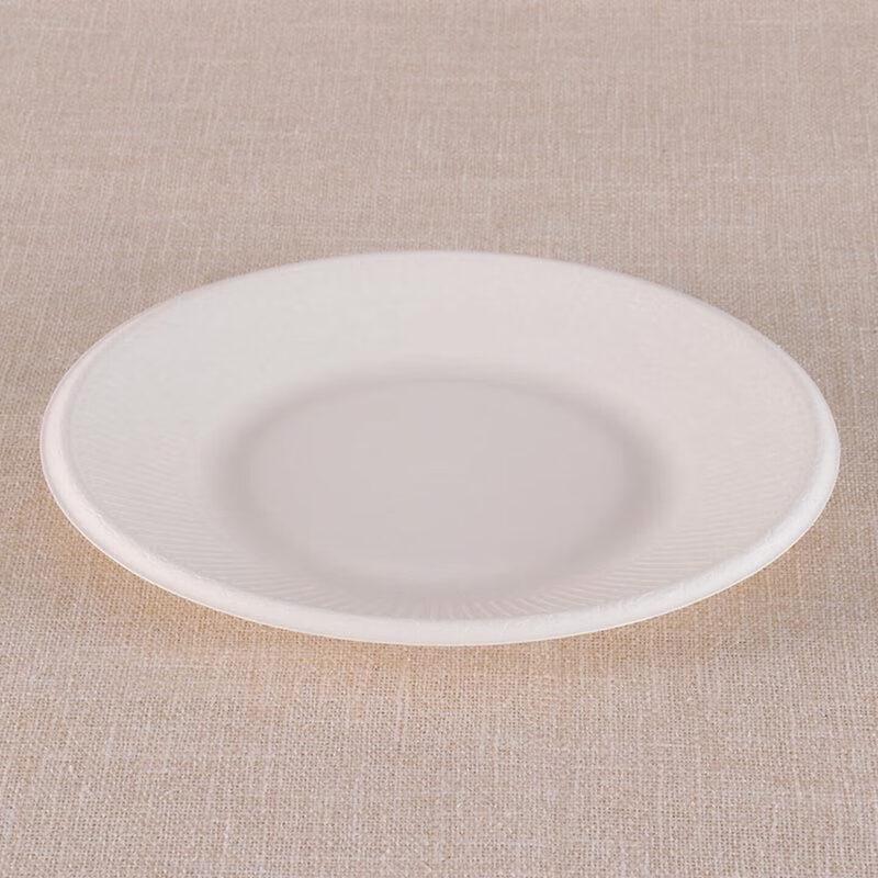 Disposable Bagasse Paper Plates