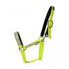 HyVIZ Coleira de cavalo Fieldsafe