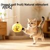 Kedi – Kedi Oyuncakları