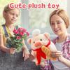 Plush Toys, Cute And Perfect Birthday Gifts For Friends And Classmates, Graduation Gifts