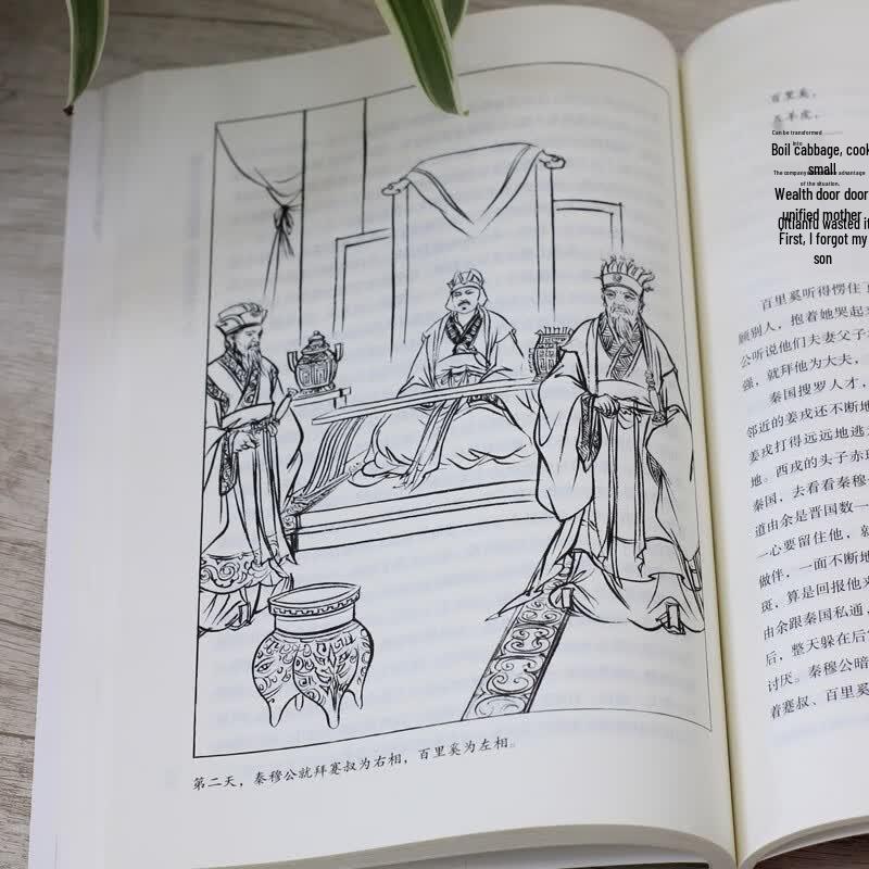 Lin Handa's Chinese History Stories Series