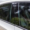 Nissan Autofenster B-Säulenverkleidung, Schwarz, 8 Farboptionen, PC-Material, Außenzubehör