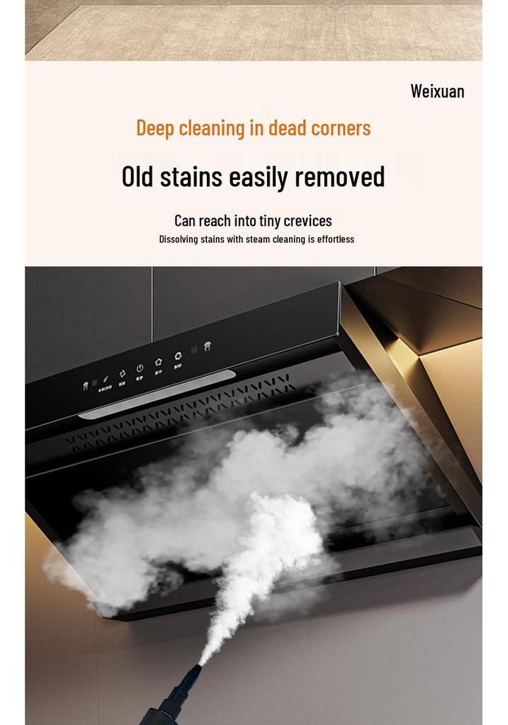 Nettoyeur vapeur haute température Bestseller russe: Lave-linge multi-usages pour climatiseur et appareils ménagers