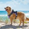 Multi D-ring Reflective Velcro Dog Harness