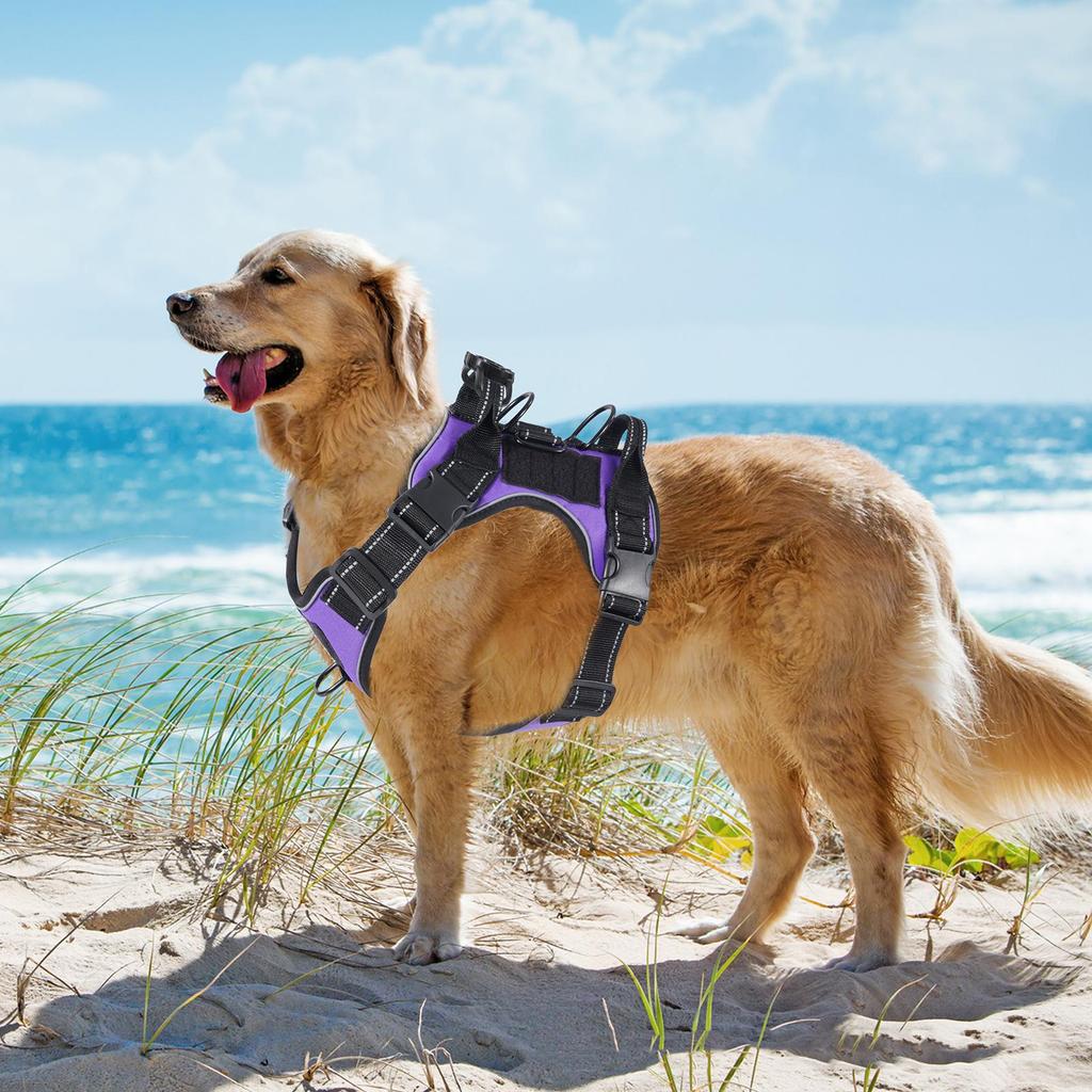 Multi D-ring Reflective Velcro Dog Harness