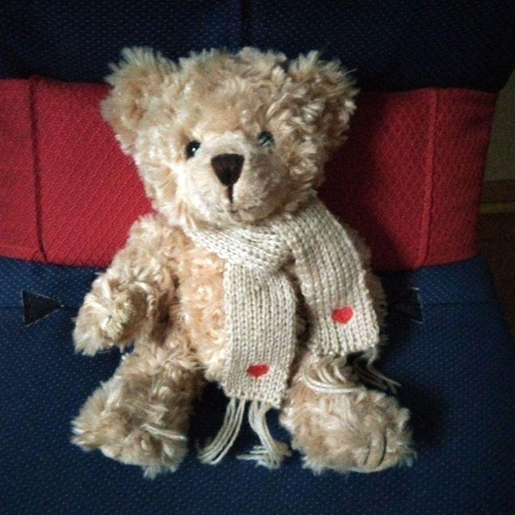 [USED] Bukowski Teddy Bear Pair