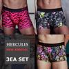 [Hercules Underwear] Comfortable & Stylish Boxer Briefs 3-Pack HB2DR303SET [Shipped from Korea] 100% Authentic