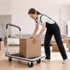 Foldable Push Cart Dolly, 149.69 Kg Capacity, Folding Platform Truck with Swivel Wheels, Moving Platform Hand Truck Flatbed Cart, Space Saving Push