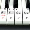 RockJam 49-Key Electronic Keyboard (RJ549) [Includes Power Adapter, Music Stand, and Online Practice App]