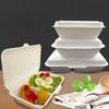 Disposable Pulp Lunch Box Thick Environmentally Friendly Rice Takeaway Packaging Rectangular Connected Fast Food Boxs