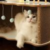 Multi-functional Cat Scratcher & Bed Coffee Table
