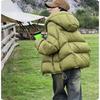 Short Down Padded Jacket Women's Cold-proof Thick Padded Jacket Small Padded Jacket Bread Winter Jacket