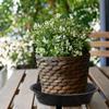 3Pcs Plastic Round Durable Plant Saucer Drip Trays Indoor Outdoor Plastic Tray Saucers