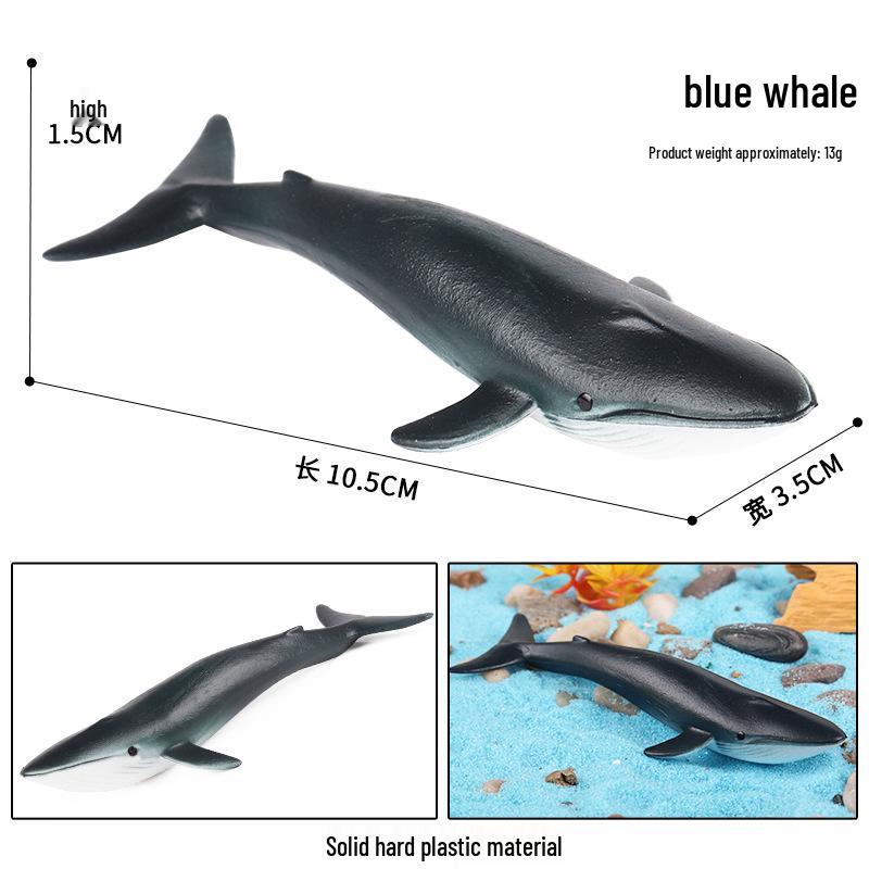 Children's Marine Animal Toy Set: Megalodon, Beluga, Octopus, Turtle, Dolphin & Manta Ray