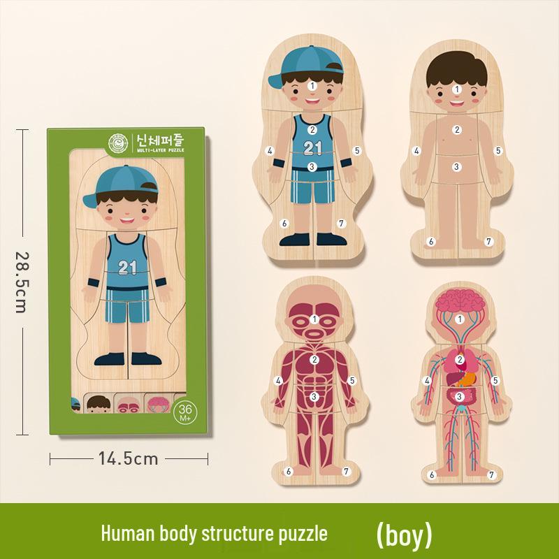GoryeoBaby Wooden Human Body Puzzle - Children s Educational Toy