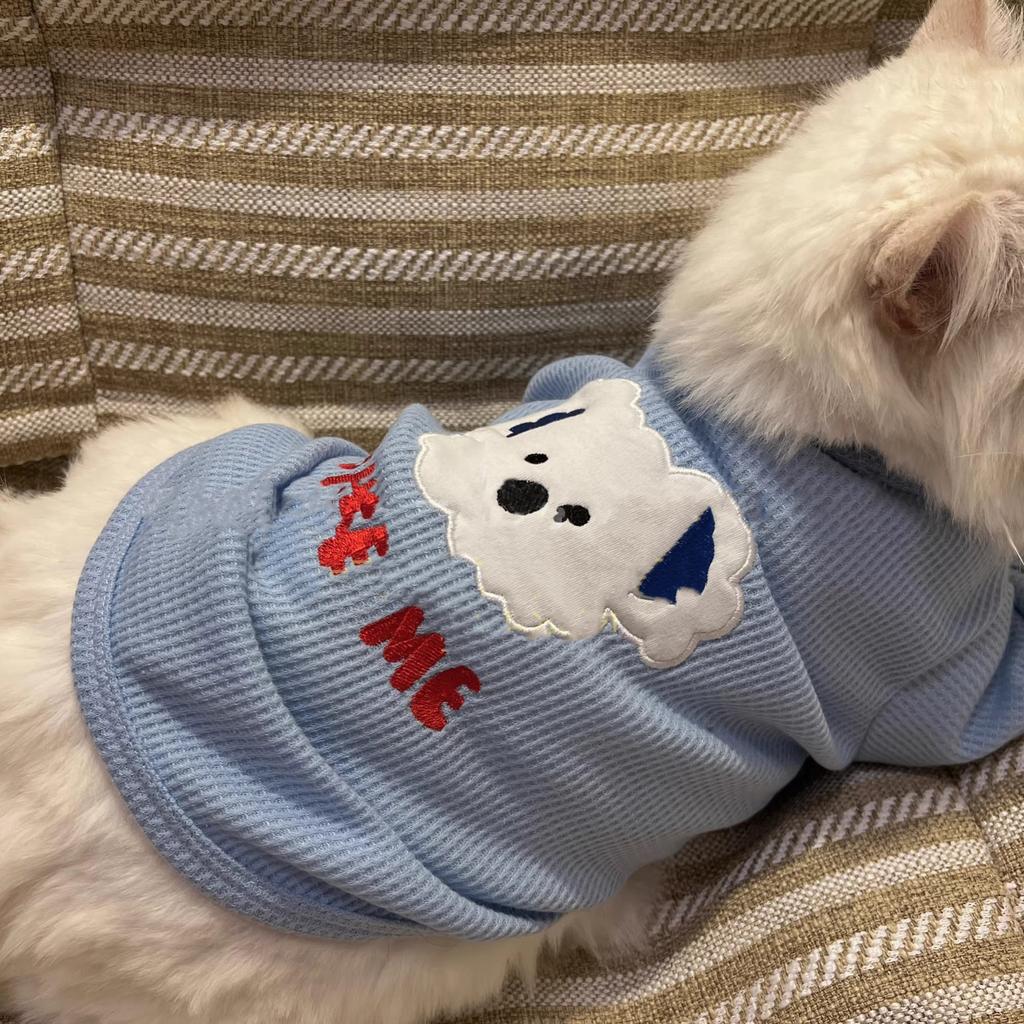 Pet Cat Clothes Summer Thin Breathable Outfit Ragdoll Kitten Silver Gradient Blue Cat Kitten Pet Two-Legged Clothes