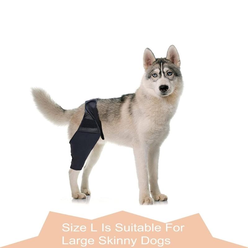 Safety Pet Dogs Waterproof Thigh Cover for Dogs to Prevent Injuries Crafted from Soft Material for Various Activity