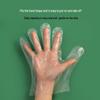 Huihuang M Disposable Thickened PE Gloves