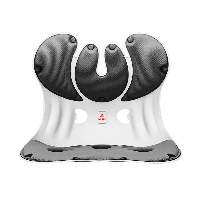 Peak Ergonomic Lumbar Support Cushion