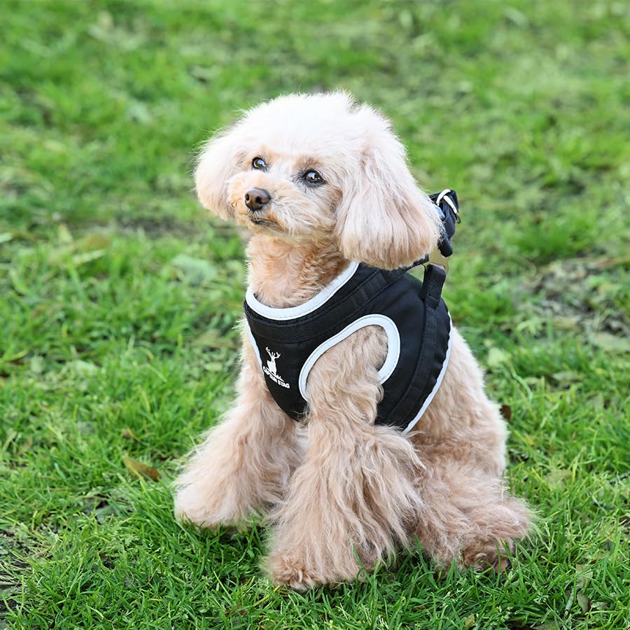 CAPTAIN STAG Deer Logo Harness Small Dog Deer Banchou Perfect for and Glamping Harness, Design, Camping, Outdoors, (Black, Small)