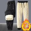 Autumn and Winter Lambswool Trousers Men's Padded Warm Casual Sports Trousers Loose Straight Hundred Yards Cotton Trousers Man