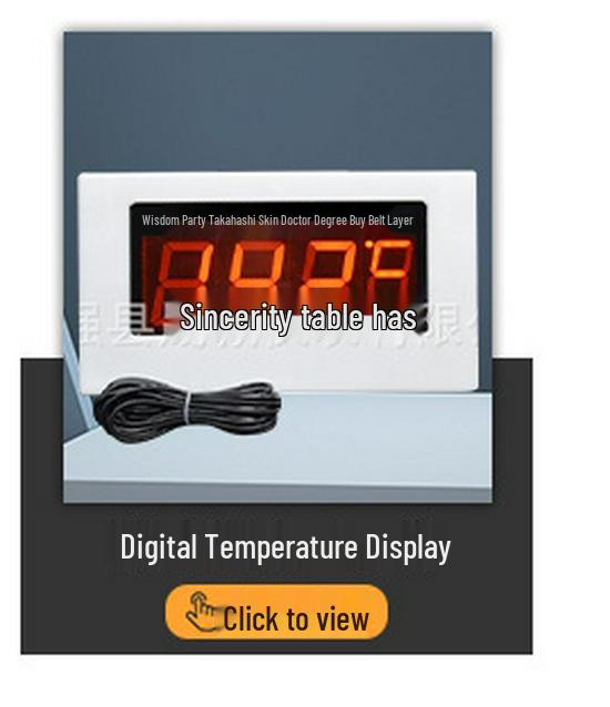 Termometru digital de înaltă precizie cu sondă pentru cazane industriale și bazine de acvacultură